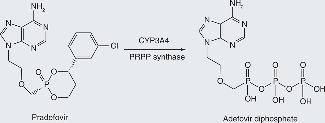 Figure 17