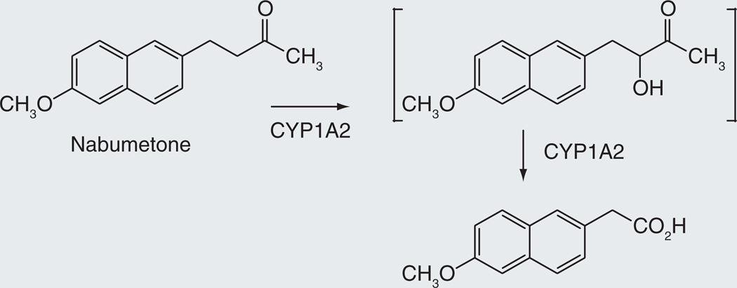 Figure 13