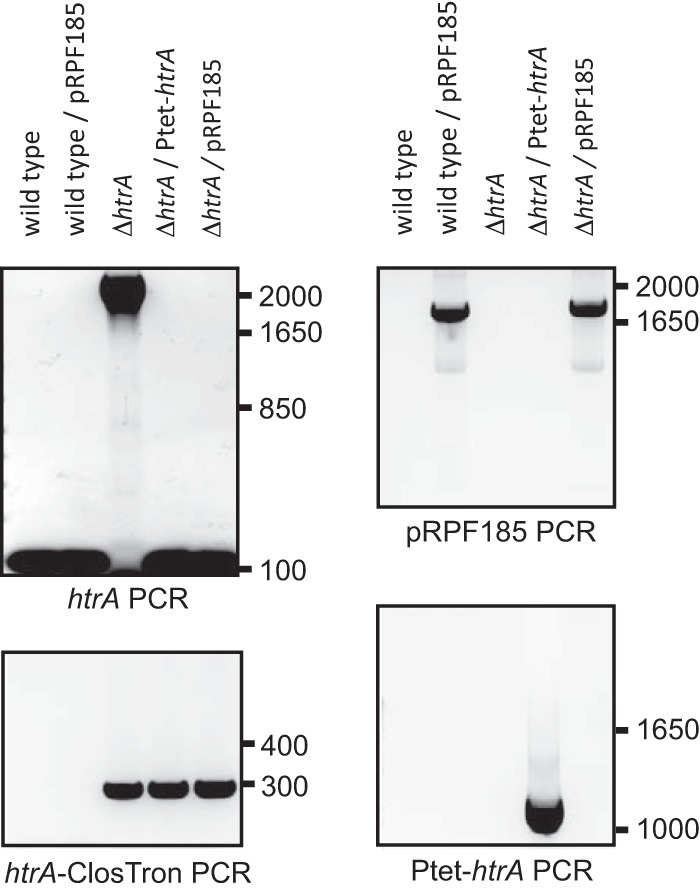 FIG 2