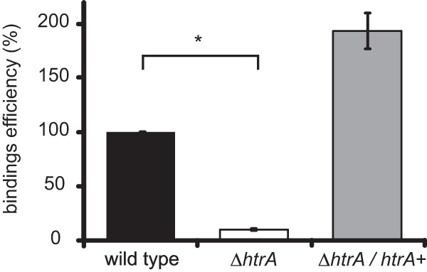 FIG 6