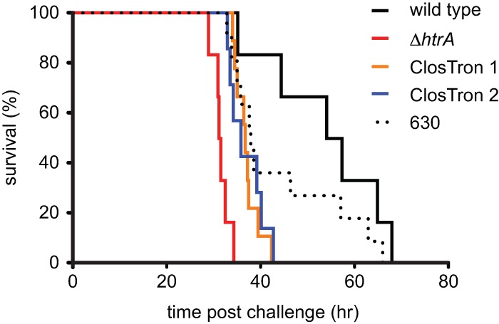 FIG 3