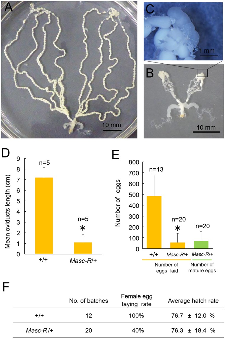 Fig 8