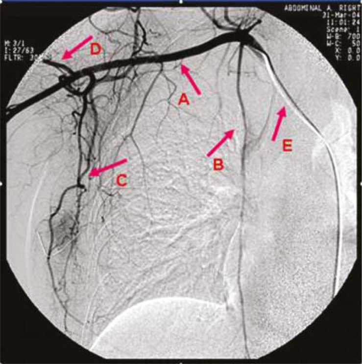 FIGURE 1.