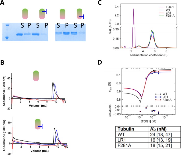 Figure 5—figure supplement 1.