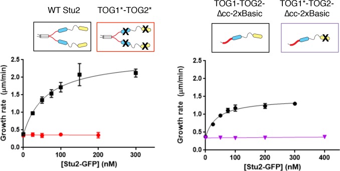 Figure 4—figure supplement 1.