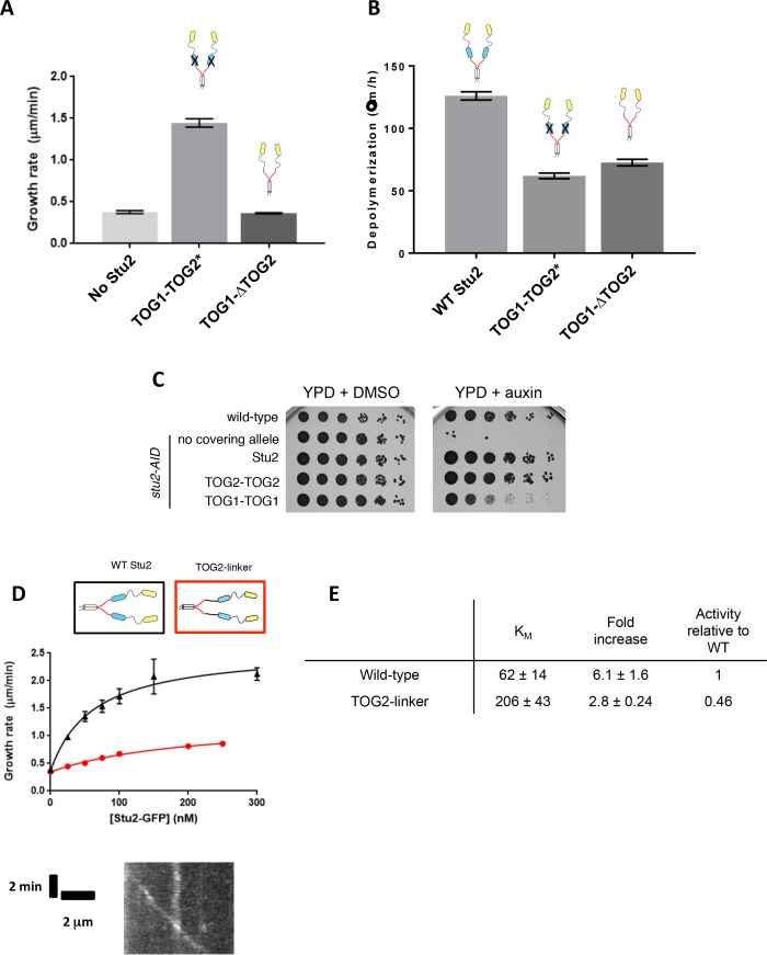 Figure 2—figure supplement 1.