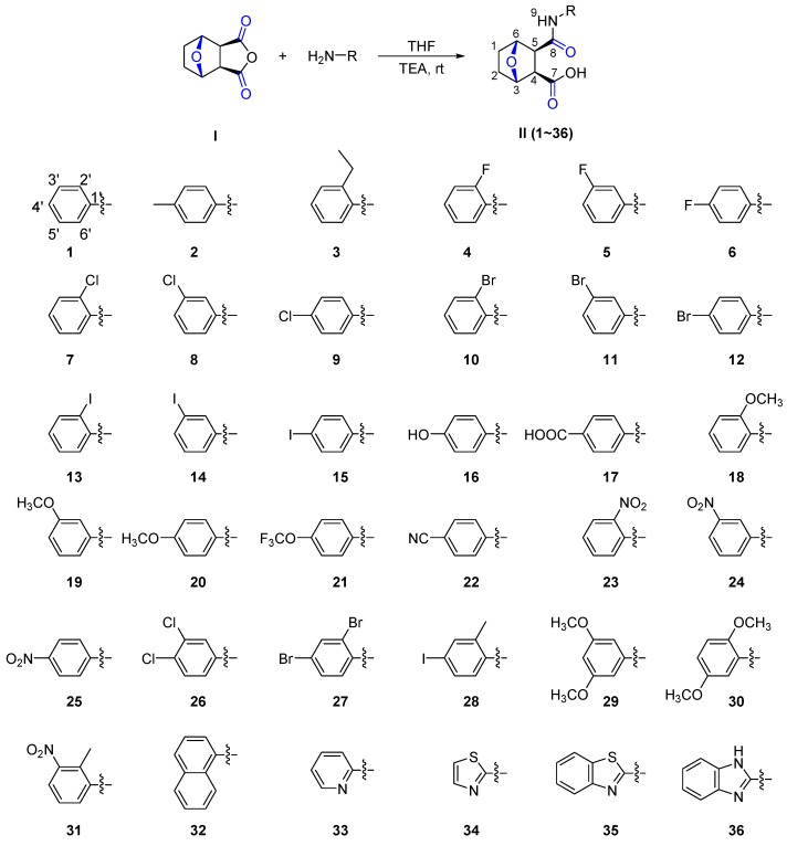 Scheme 1