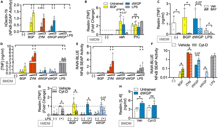 Figure 2