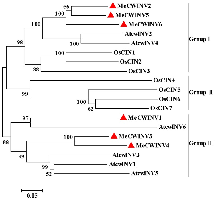 Figure 3.