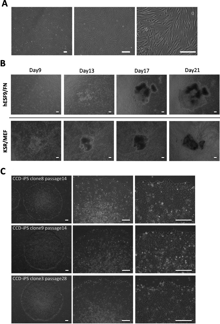 Figure 3.