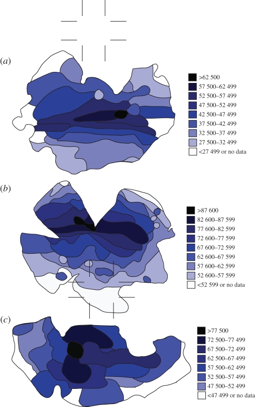 Figure 3.