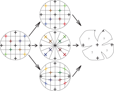 Figure 1.