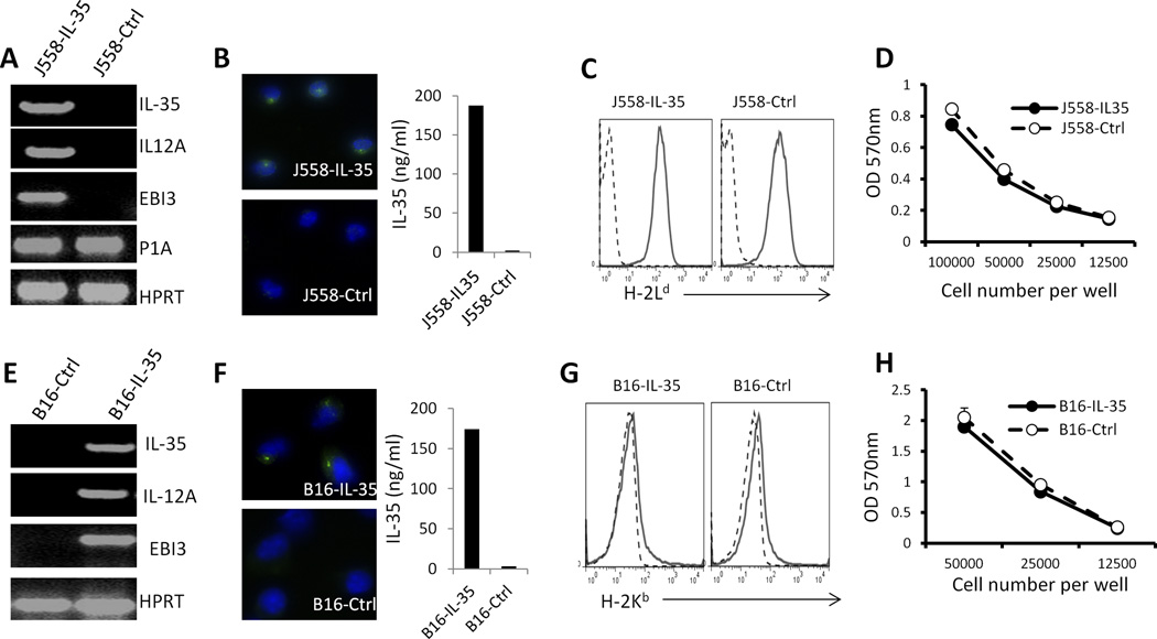 Fig.2