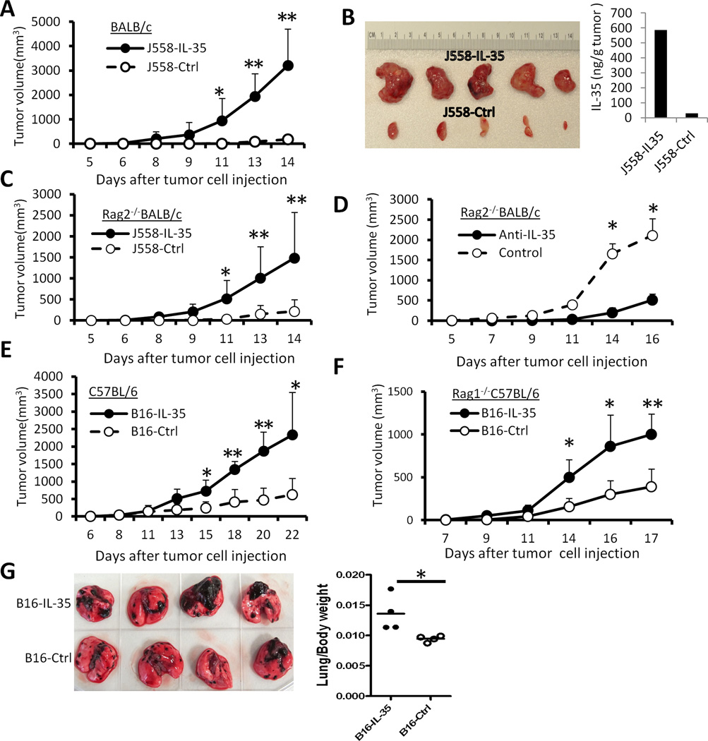 Fig.3