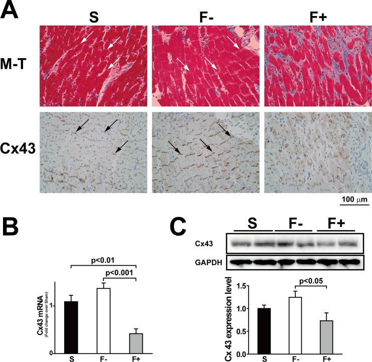 Fig 8