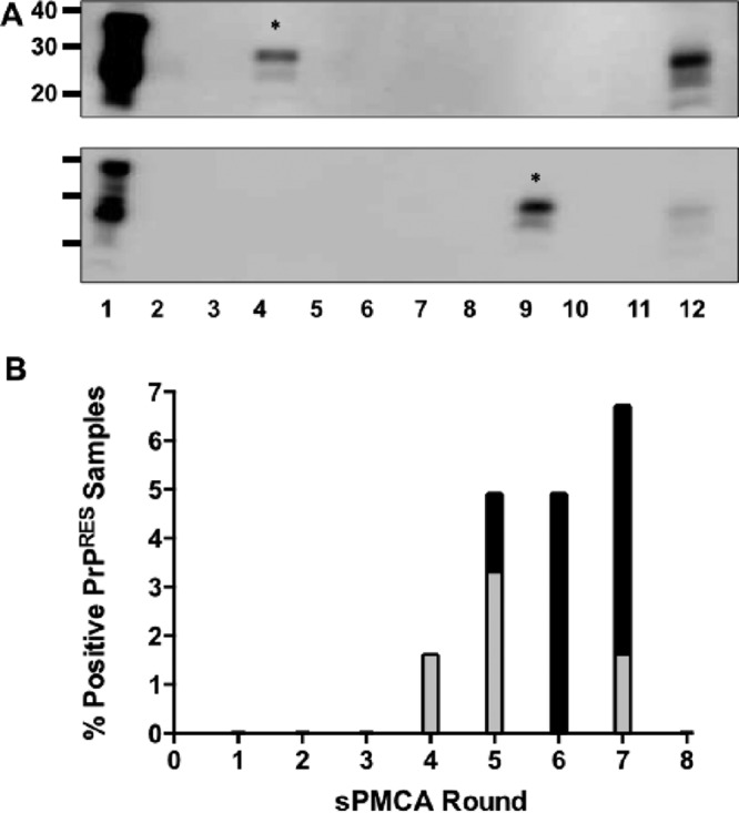 FIG 1 