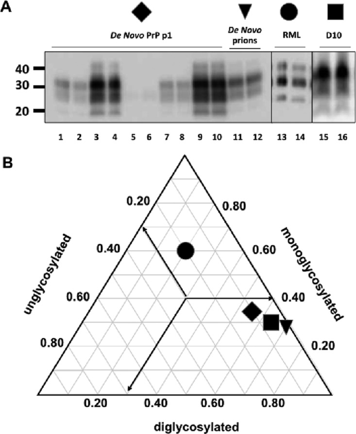 FIG 3 