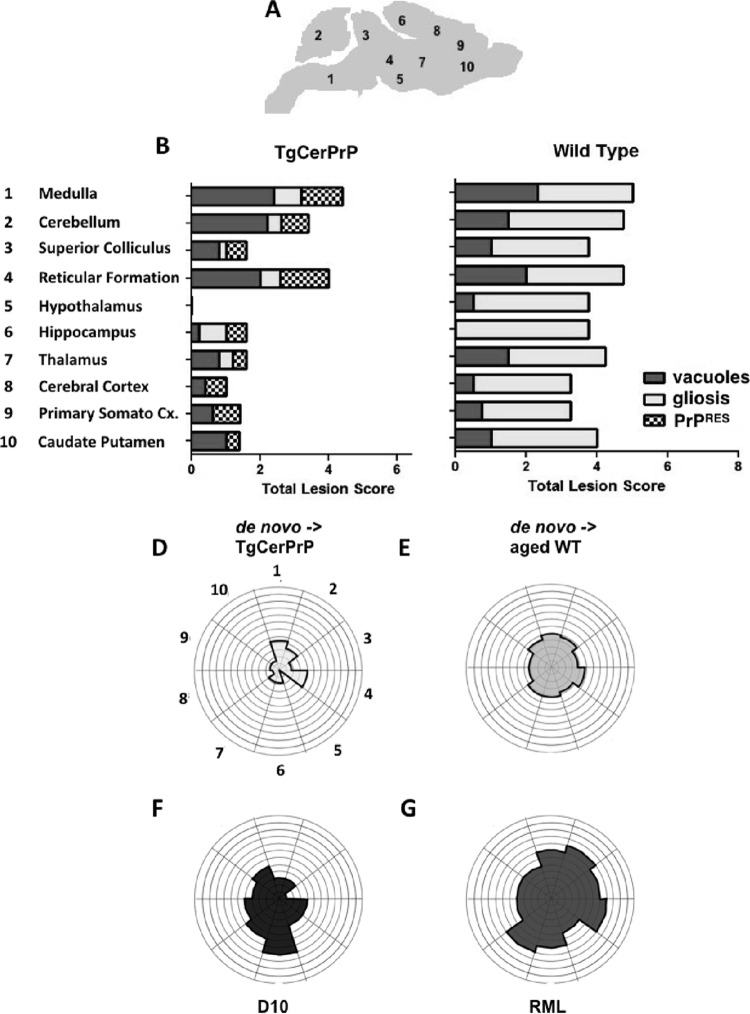 FIG 6 