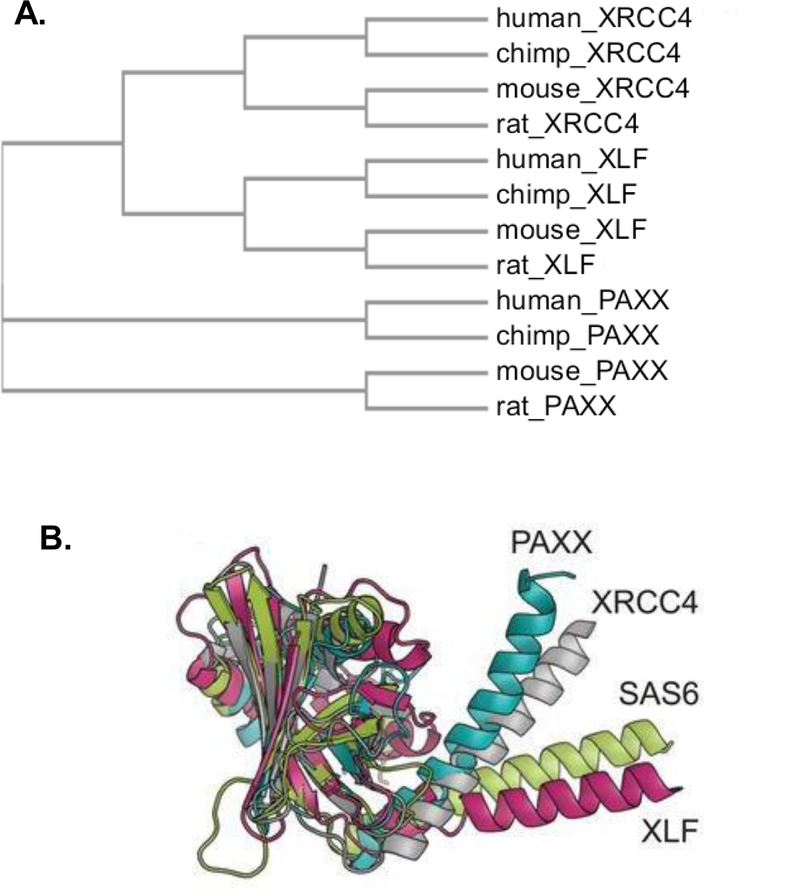 Figure 5