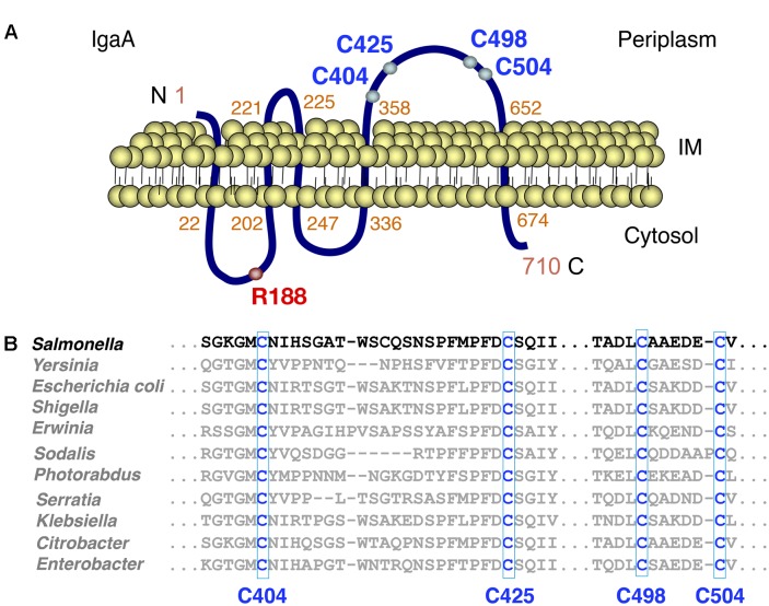 FIGURE 1