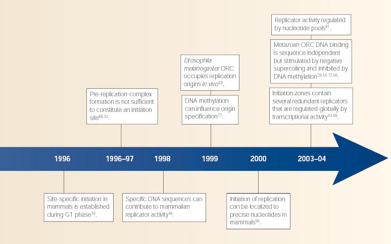 Timeline