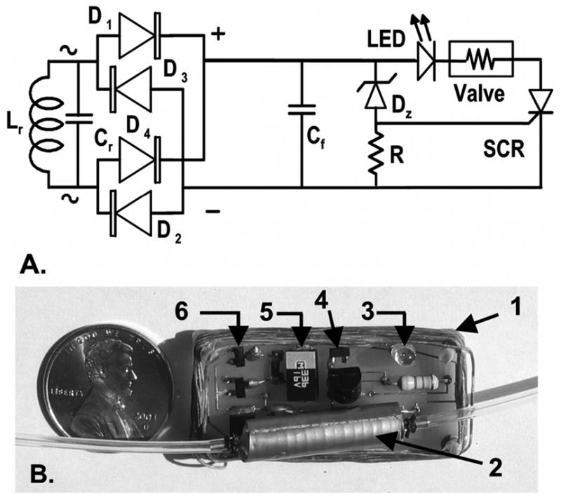 Fig. 1