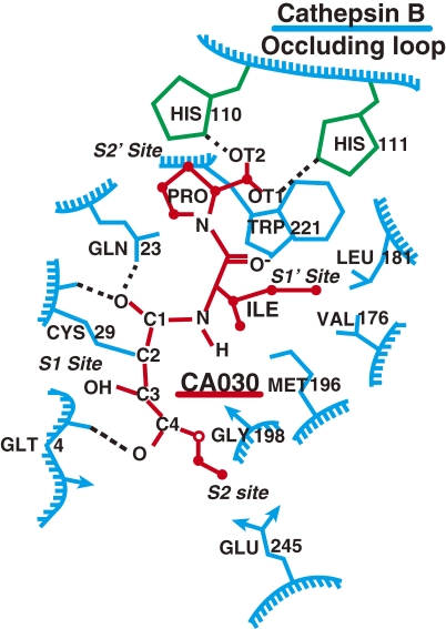 Figure 2. 