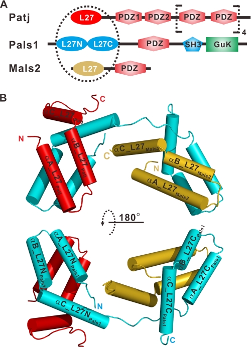 FIGURE 1.