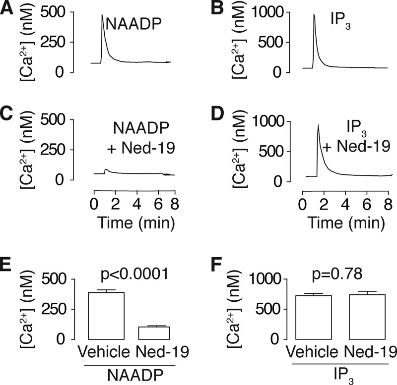 FIGURE 2.