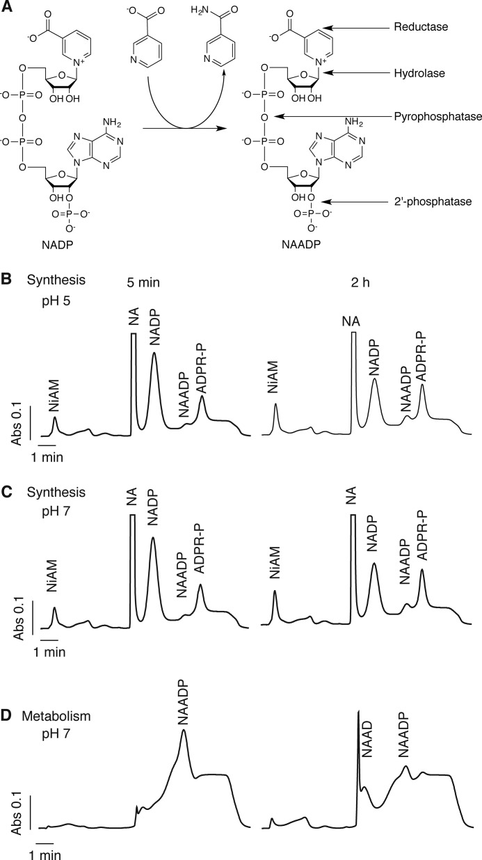 FIGURE 3.