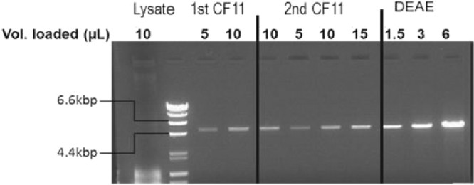 FIG 4