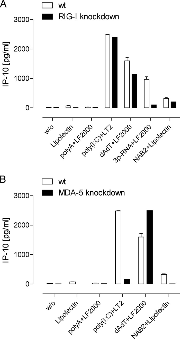 FIG 2