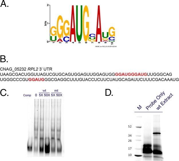 FIG 1 