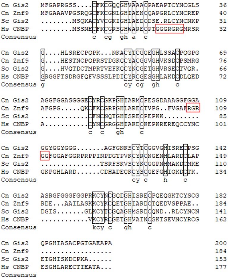 FIG 2 