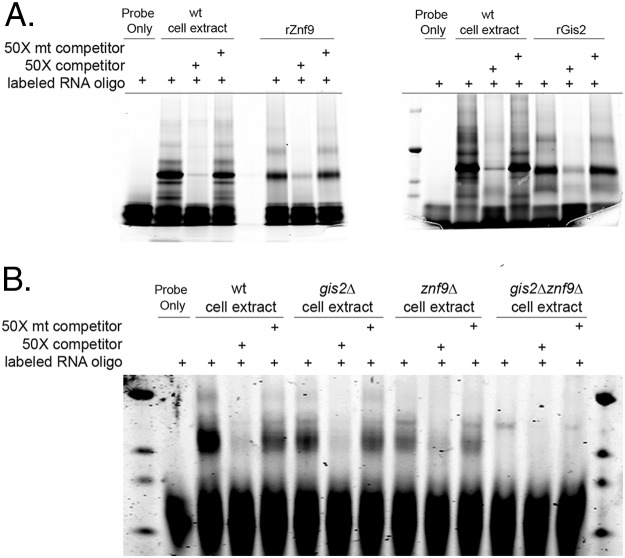 FIG 3 