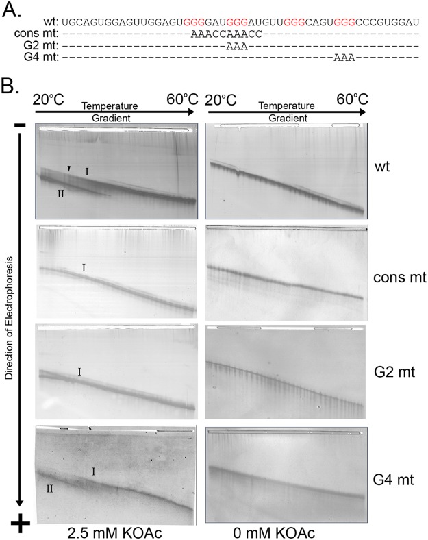 FIG 4 