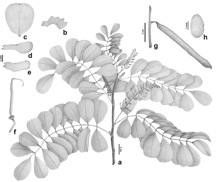 Figure 3.