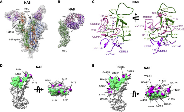 Figure 4