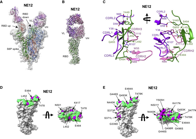 Figure 3