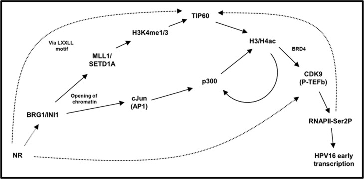 Figure 9