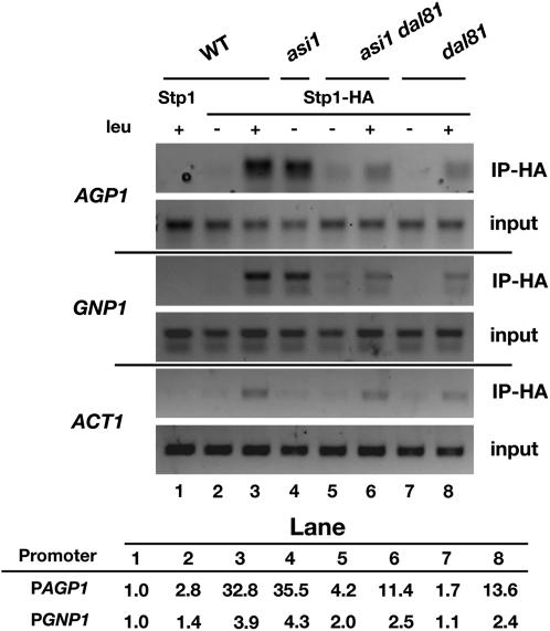 Figure 4.—