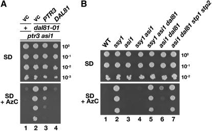 Figure 2.—