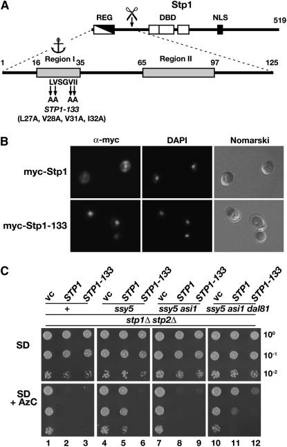 Figure 3.—