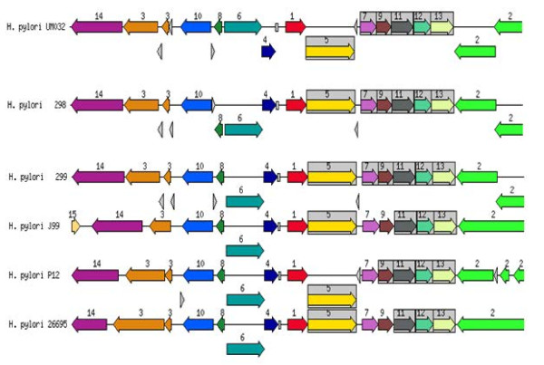 Figure 5