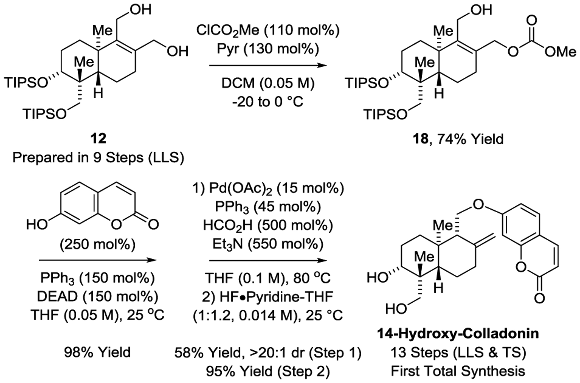 Scheme 4.