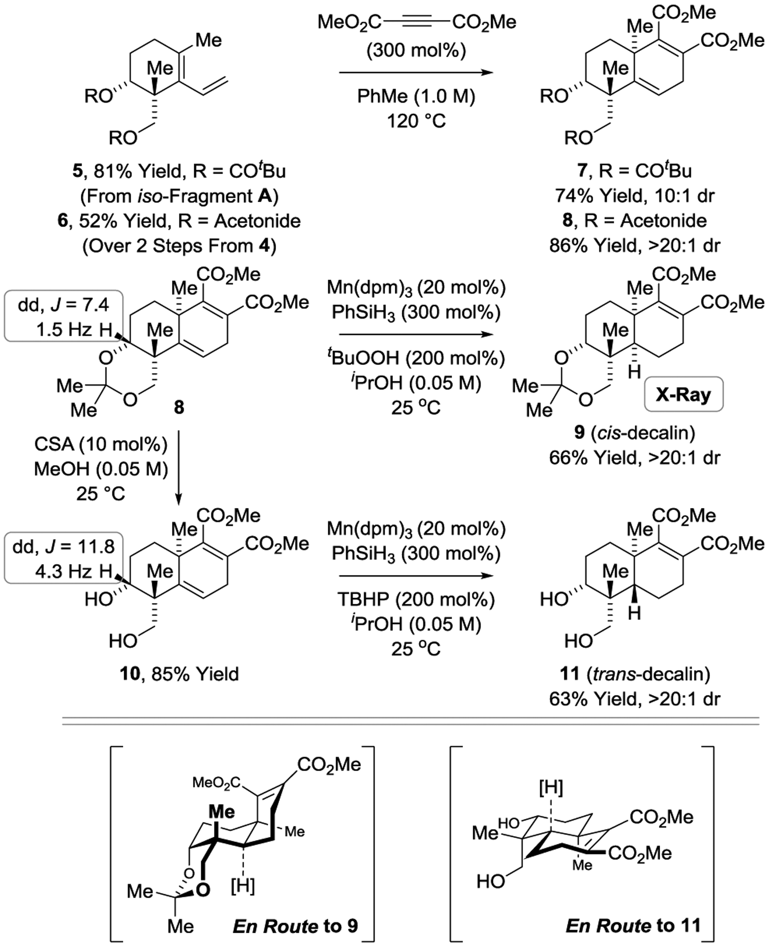 Scheme 2.