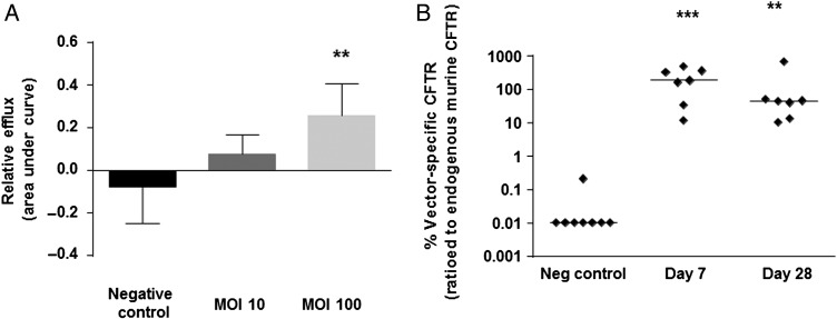 Figure 6