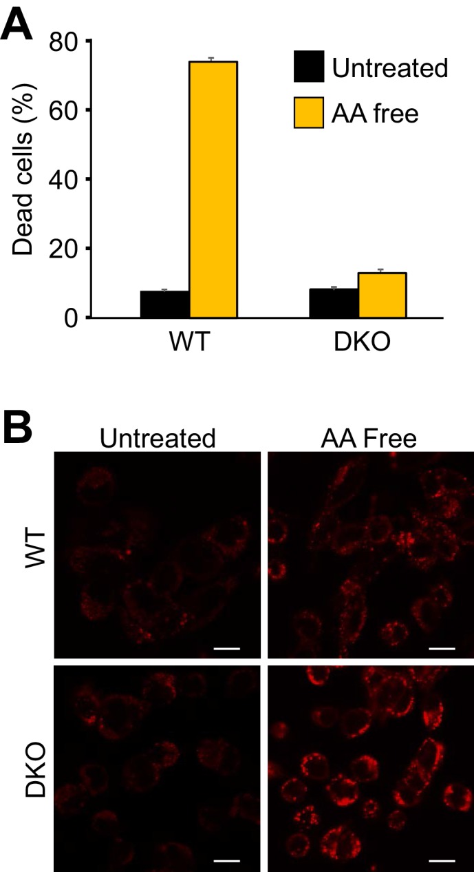 Figure 1—figure supplement 1.