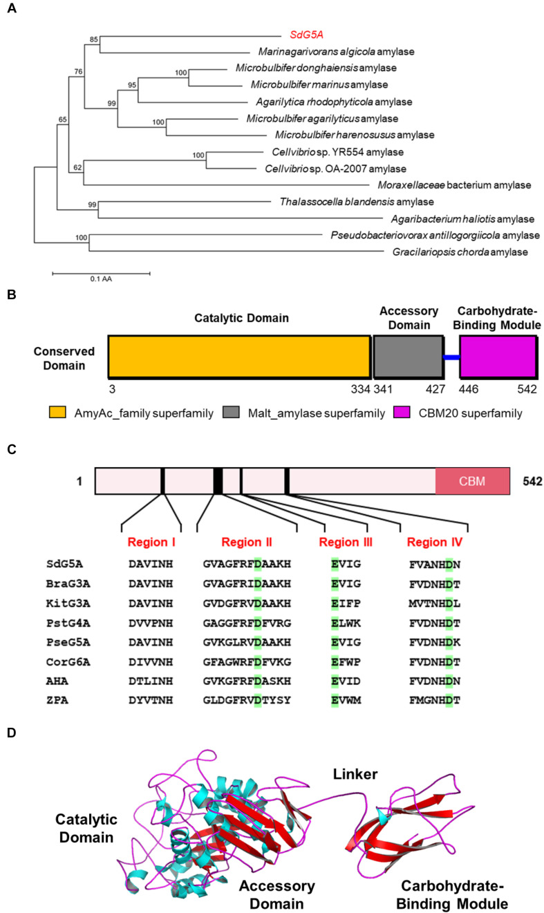 FIGURE 4