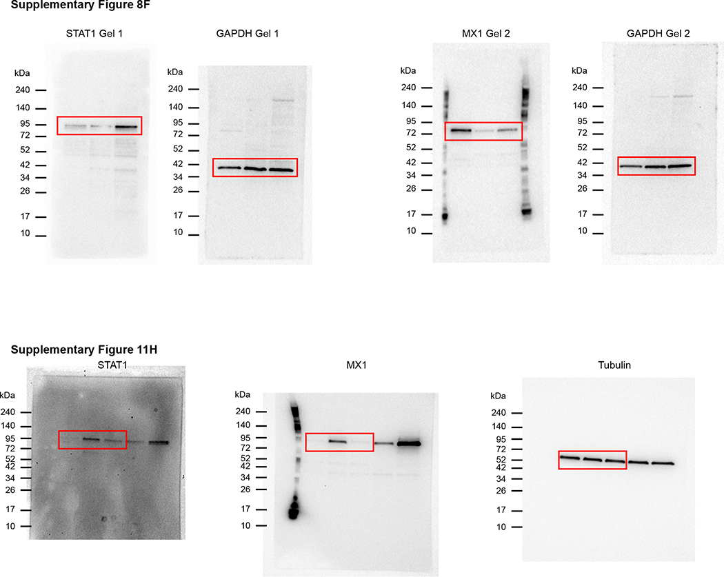 Extended Data Figure 3 -